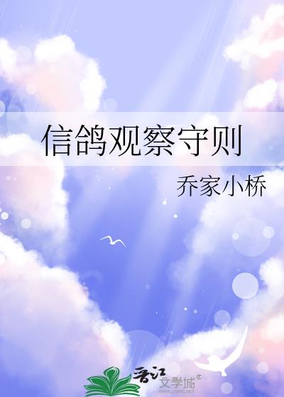 信鸽观察守则